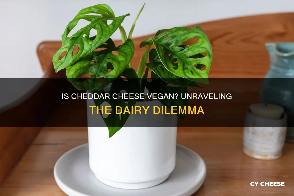 is cheddar cheese plant based