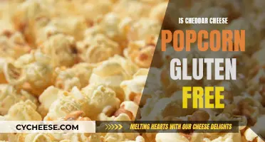 Gluten-Free Cheddar Popcorn: A Tasty Treat for All