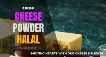 Is Cheddar Powder Halal? Unveiling the Cheese's Secrets