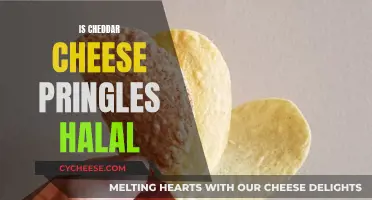 Is Cheddar Cheese Pringles Halal? Unraveling the Snack Conundrum