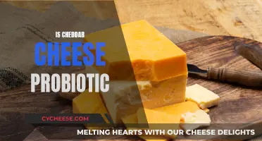 Unveiling Cheddar's Probiotic Potential: A Dairy Delight?