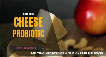 Cheddar Cheese: Probiotic or Not?