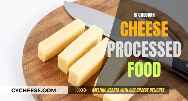 Unraveling the Cheddar Mystery: Is It Processed?