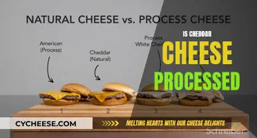 The Cheddar Conundrum: Is It Processed or Natural?