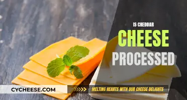 Cheddar Cheese: Processed or Not?