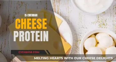 Unraveling Cheddar's Protein Power: A Tasty Adventure