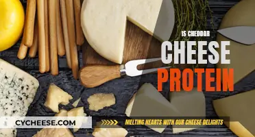 Cheddar Cheese: A Surprising Source of Protein?
