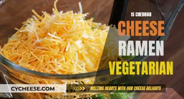 Cheddar Cheese Ramen: A Vegetarian Delight?