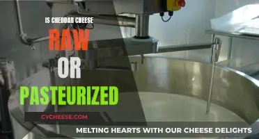 Unraveling the Cheddar Mystery: Raw or Pasteurized?