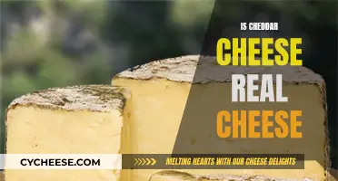 The Cheddar Conundrum: Is It Real Cheese?