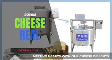 Cheddar Cheese: Real or Not?