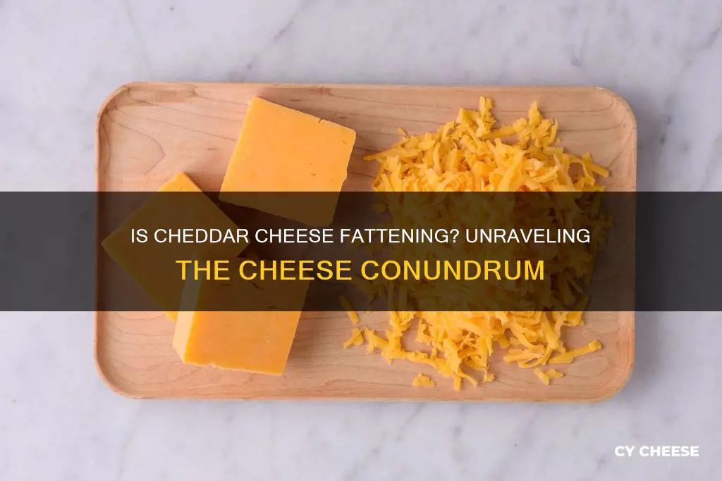 is cheddar cheese really fattening