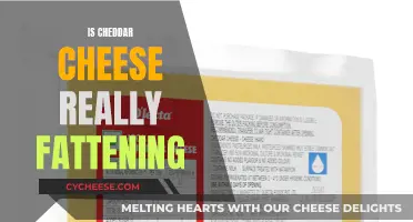 Cheddar Cheese: Fattening or Healthy?