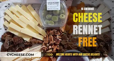 Exploring Cheddar's Natural Curdling: Is It Rennet-Free?