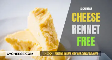 Cheddar Cheese: Rennet-Free or Not?