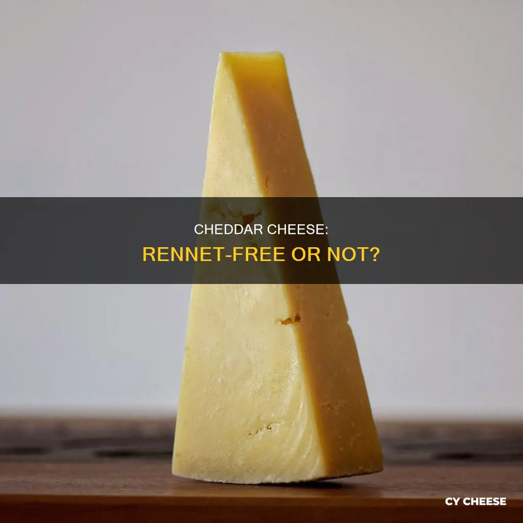 is cheddar cheese rennet free