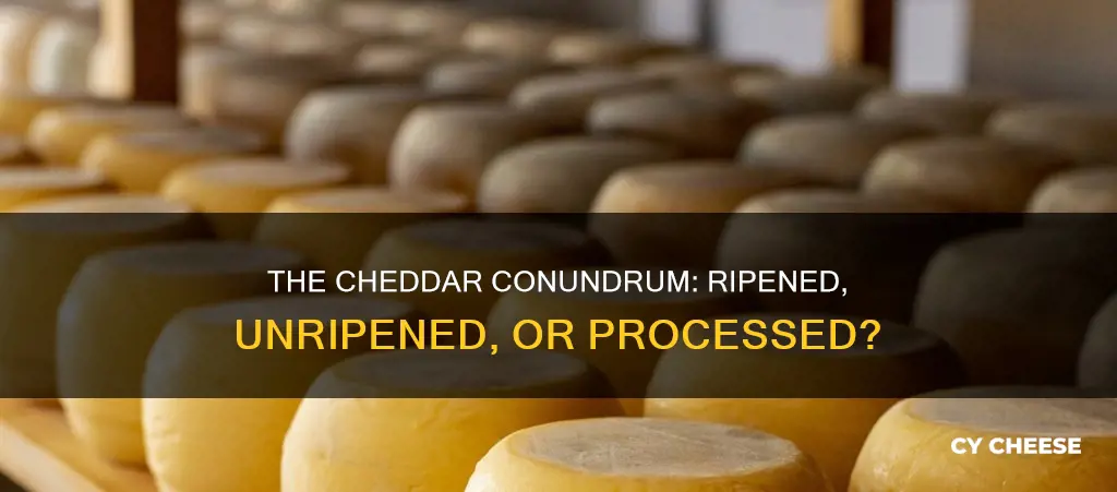 is cheddar cheese ripened unripened oe process