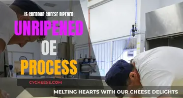 Cheddar Cheese: Ripened, Unripened, or Processed?