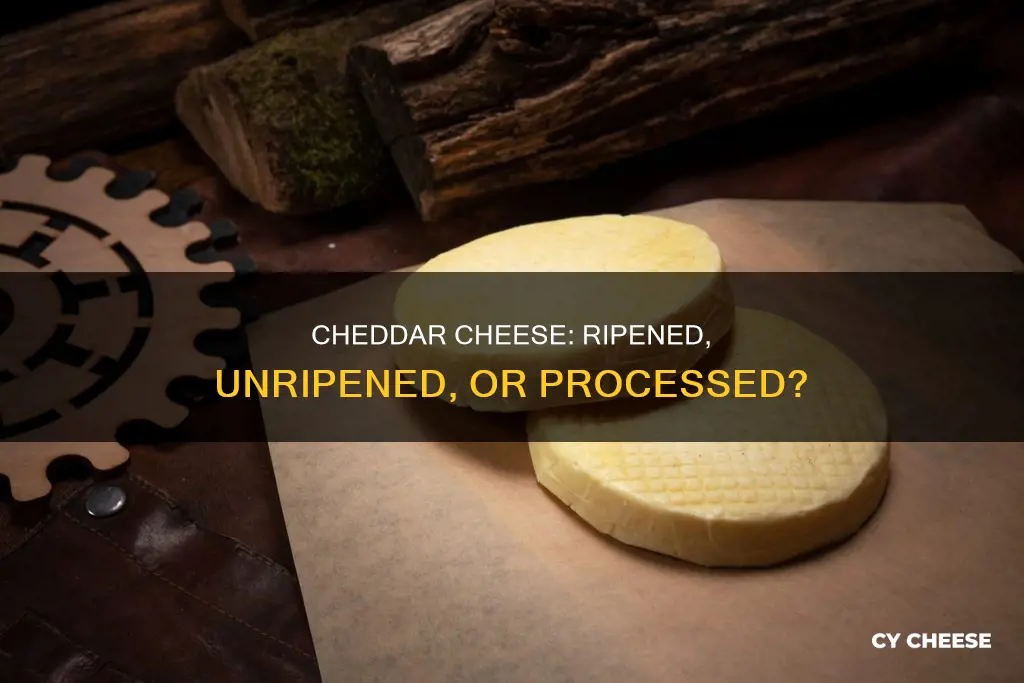 is cheddar cheese ripened unripened oe process