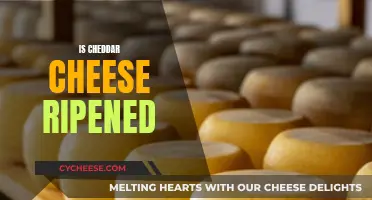 The Ripening Journey of Cheddar: Unveiling its Complex Transformation