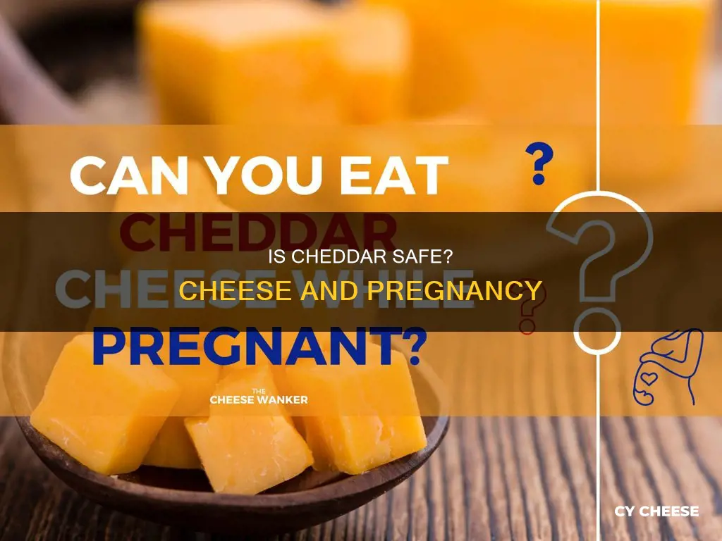 is cheddar cheese safe during pregnancy