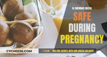 Pregnancy and Cheddar Cheese: Safe or Not?