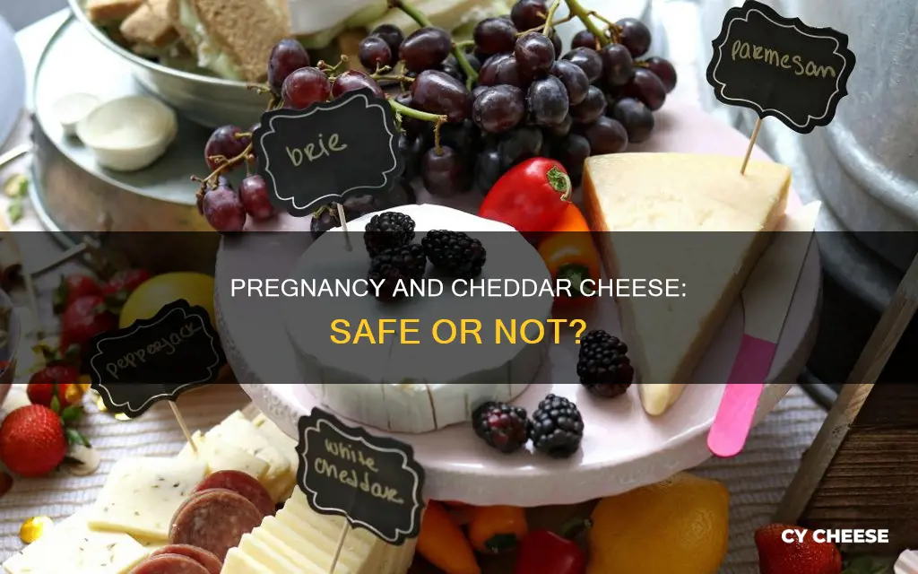 is cheddar cheese safe during pregnancy
