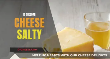 The Salty Cheddar: Unveiling the Perfect Balance of Flavor