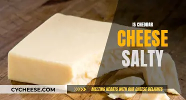 Cheddar Cheese: Salty or Not?