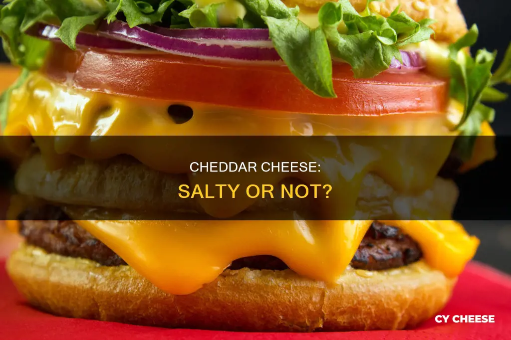 is cheddar cheese salty