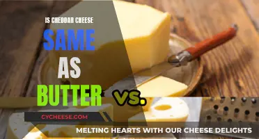 Unraveling the Cheddar-Butter Mystery: Are They the Same?