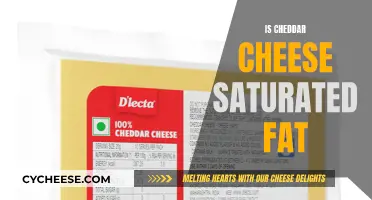 Cheddar Cheese: Saturated Fat Facts and Health Risks