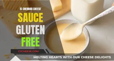 Cheddar Cheese Sauce: Gluten-Free or Not? Unraveling the Mystery