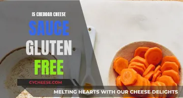 Cheddar Cheese Sauce: Is It Gluten-Free?
