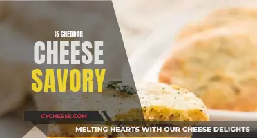 The Savory Nature of Cheddar: A Tasty Exploration