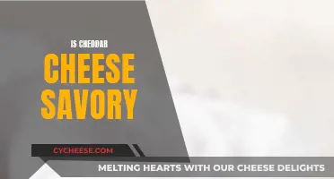 Cheddar Cheese: A Savory Delight?