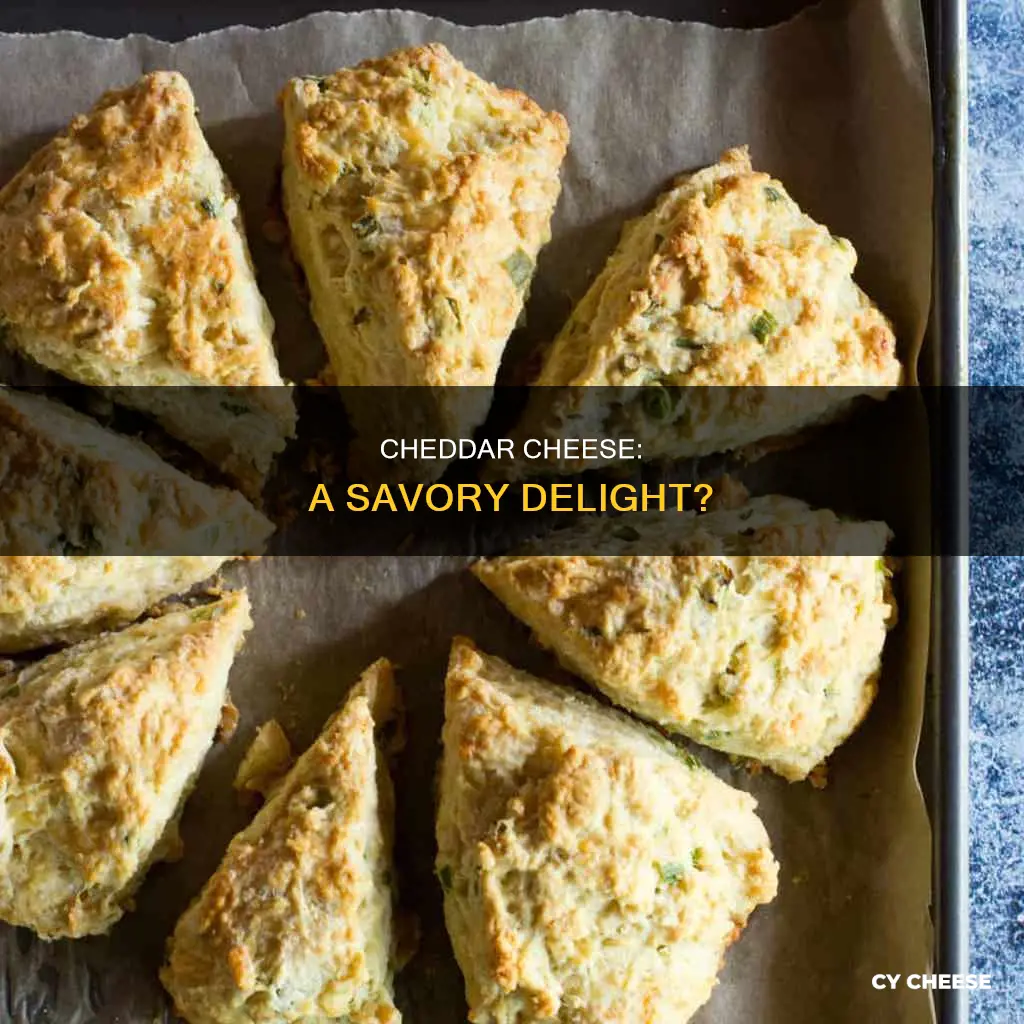 is cheddar cheese savory