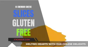 Cheddar Cheese Slices: Gluten-Free Delight or Hidden Hazard?