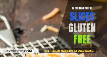 Cheddar Cheese Slices: Are They Gluten-Free?