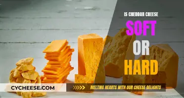 The Cheddar Conundrum: Soft or Hard, That is the Question