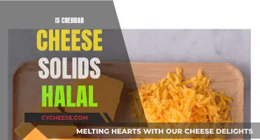 Is Cheddar Cheese Halal? Unraveling the Solids Mystery