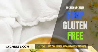 Cheddar Cheese Soup: Gluten-Free Delight or Hidden Hazard?