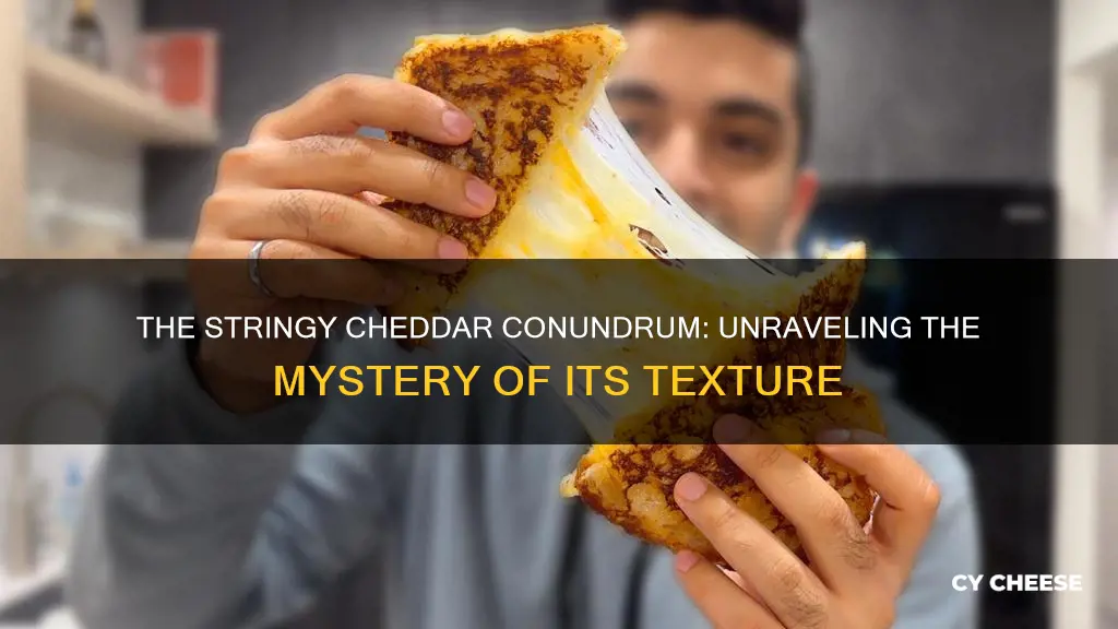 is cheddar cheese stringy