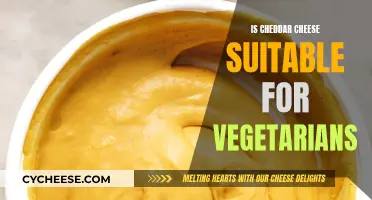 Is Cheddar Cheese Vegan-Friendly? Unraveling the Vegetarian Dilemma