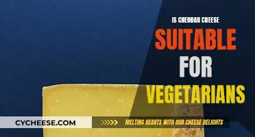 Cheddar Cheese: A Vegetarian-Friendly Option?