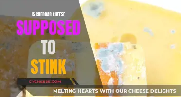 Cheddar Cheese: Why Does It Stink So Bad?