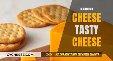 Cheddar Cheese: Delicious or Not?