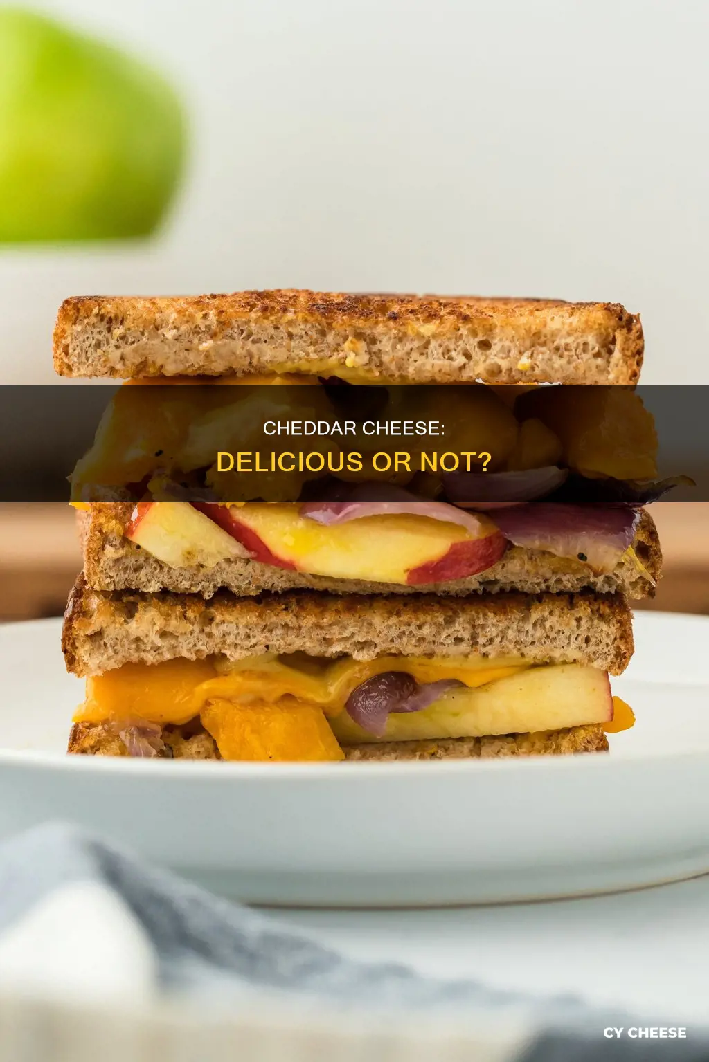 is cheddar cheese tasty cheese