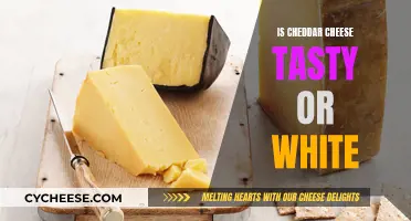 Cheddar Cheese: A Tasty Comparison to White Cheese