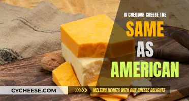 Cheddar vs. American: Unraveling the Cheese Conundrum